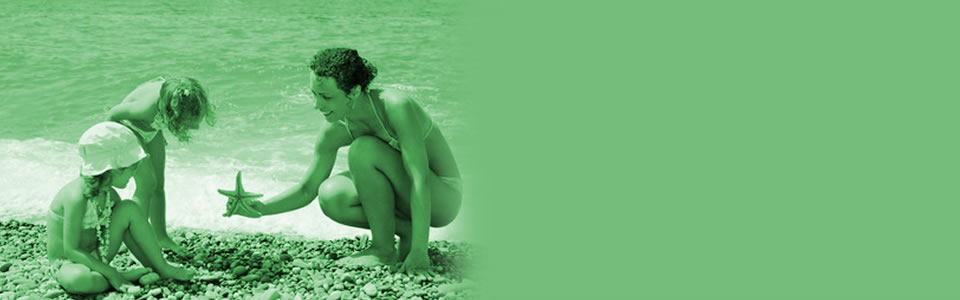 ../FR/images/Splash/slider1.jpg?refresh=1768545233